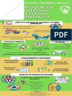 Enfoque de Sistemas INFOGRAFÍA.