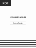 GuiaTrabajo MatematicaSuperior