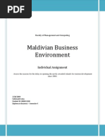 Maldivian Business Environment: Individual Assignment