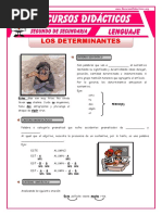 26 - Los-Determinantes-20 Julio