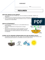 WORKSHEET Resumen2