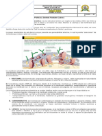 Institución Educativa Maria Jesus Mejia Guía de Aprendizaje Grado: Sexto Primer Periodo Codigo:Na Página: 1 de 1