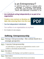 What Is An Entrepreneur?: - Are Individuals Acting Independently or As Part of An Organization