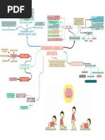 Mapa Conceptual