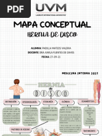 Mapa-Hernia de Disco