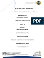 Informe de Laboratorio de Microbiología Tinciones