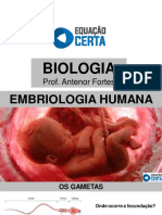 EMBRIOLOGIA HUMANA e INTRODUO AOS CORDADOS, BIOLOGIA 5, PROF. ANTENOR FORTES