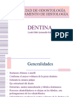 3 Dentina