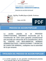 Derecho Procesal Constitucional - Proceso de Accion Popular en El Perú, Imprimir