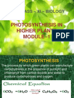 Class - Xi - Biology: Photosynthesis in Higher Plants Module - 1