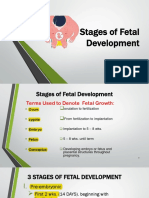 Stages of Fetal Development