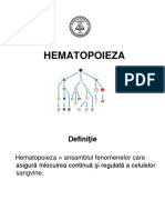 Hematopoieza