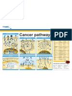 Cancer Poster 840x552