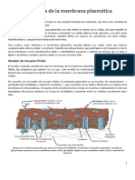 Estructura de La Membrana 2021