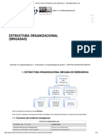 Estructura Organizacional (Brigadas) - Implementando Sgi-1-6