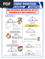 Ejerciciosde Relaciones Metricasen Triangulos Rectangulospara Quintode Secundaria