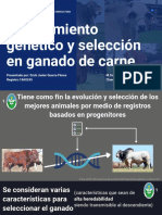 Mejoramiento Genético y Selección en Ganado de Carne