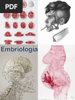 Embriología Cuadernillo