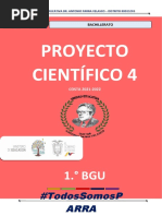 1ero Bgu - Proyecto 4