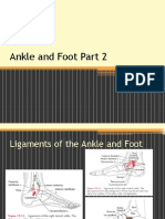 Anatomi Kinesiologi Pergelangan Kaki Dan Kaki