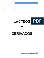 Guia Practica de Elaboracion de Derivados Lacteos