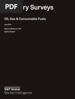 Industry Surveys: Oil, Gas & Consumable Fuels