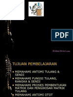 Review Anfis Sistem Muskuloskeletal