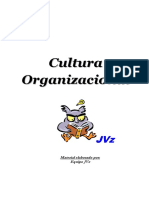 Apunte Cultura Organizacional