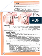 ÁREA MAMARIA Y AXILAR - B S: Ycolad E