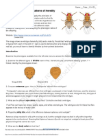 This Study Resource Was: Drosophila Simulation - Patterns of Heredity