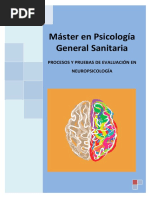 Evaluación y Diagnóstico Neuropsicológico