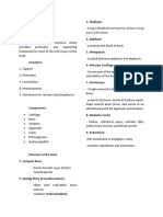 Skeletal System Notes