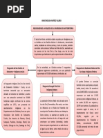 Mapa Conceptual Diversidad