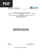 Derivadas - Unidad I