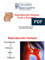 Parto y Puerperio EDP