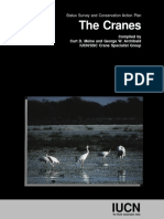 The Cranes