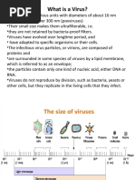 Virus