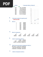 Modelo Matricial (6 Problemas) Evi