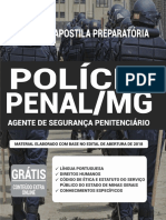 Policia Penal MG