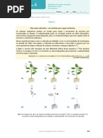 BioGeo 10 Teste Pratico 4-2021