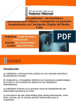 Exposicion Hidatidosis Pulmonar