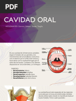 Cavidad Oral - UP3