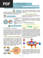 Guía de Biología Séptimo