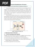 Histochemical Identification of Proteins - Part 1