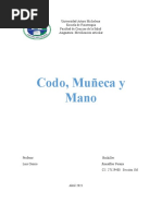 Codo Muleca Mano