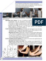 valuación Pasiva Del Codo Movimiento de Pronación Y Supinación Contraresistencia