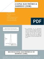Presentacion 1 de Tecnicas SEM