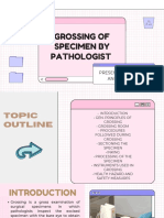 Grossing of Specimen Histopath Report