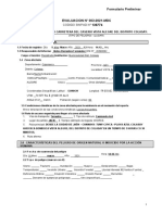 Formulario Preliminar, Lluvias Intensas Vista Alegre