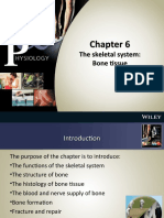 The Skeletal System: Bone Tissue